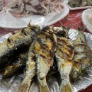 뚱순이네 이미지