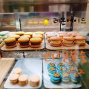 퐁당마카롱