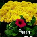 사곡로 이미지