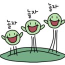 올리컴퍼니 이미지