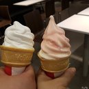 맛보는날