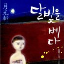 달빛가죽 Daum카페