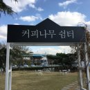 라노비아카페