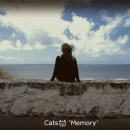Memory - Cats 이미지