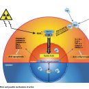 Re:Molecular hydrogen: a preventive and therapeutic medical gas for various diseases 이미지