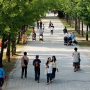 숲속의 쉼터 이미지