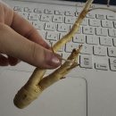 이가찜닭 포항흥해점 | 천고마비의 계절 .. 시작하자마자 끝남 엥;