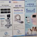 24시송도오케이동물의료센터 | 송도24시동물병원 오케이동물의료센터 검진 결과