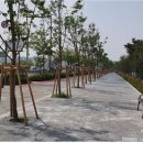 밤고개로 이미지