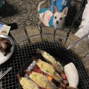 글램펜션 | 가평 가성비 애견펜션, 글램독 가평점 내돈내산 후기