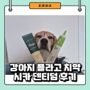 강아지 플라고 효소 치약, 시카 덴티덤, 내돈내산 후기
