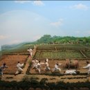 김종길농장 이미지