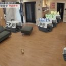 피아켄넬 이미지