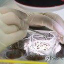 질병퇴치연구원 이미지