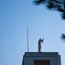 예수성심원 이미지