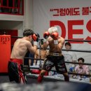 뻔치복싱스튜디오 이미지