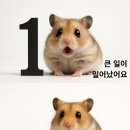 워시클럽 이미지