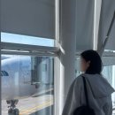 이지트래블국제 | 싱가폴 싱가포르 여행 1일차 [ 티웨이 항공 창이공항 에서 부기스 이지링크(EZ-Link) ]