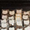 한성대학교 국방과학대학원 | [통번역대학원 일상] 1학년 2학기 종강 / 기말고사 후기 / 방학 계획