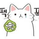 아이라라발달센터 이미지