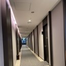 파라다이스 오션 스파 네이버블로그