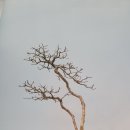 소사 이미지