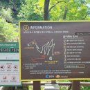 호수카 | [춘천]비발디파크 갔다가 다녀온 춘천 삼악산 호수케이블카 내돈내산 후기