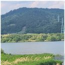 행정사사무소 이유 이미지