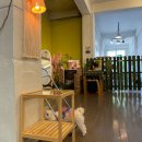 징검다리연구소 이미지