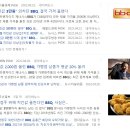 부어치킨 화정점 네이버블로그