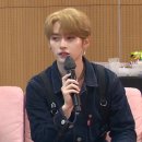 리노 이미지