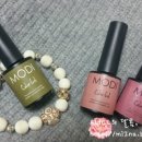 네일53(Nail 53) 이미지