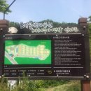 초막골생태공원 캠핑장 이미지