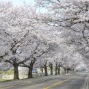 꽃마름 정읍중앙로점 이미지