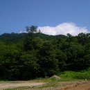 청명농장 이미지