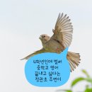 주연팜 이미지