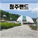 청주랜드 어린이 체험관, 생태관 솔직후기 (ft.동물원 휴관)