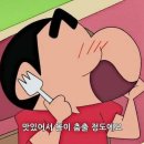 나잇플라잇 이미지