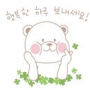 용인대챔피온태권도 이미지