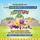 주목주비 이미지