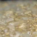 한국사료(주) 이미지