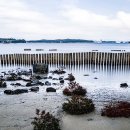 바람아래해수욕장 이미지