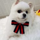 나보다 예쁘개 이미지