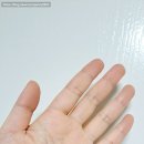구아바 연구회 | 바르면 체온 상승하는 수족냉증 필수 발열손난로 크림. 쏘미 인텐스 워밍 엠버 핸드크림으로 겨울 손...