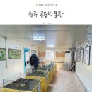 원주 곤충박물관 방문 후기 (장수풍뎅이 데려왔어요)