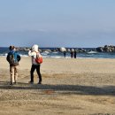 해파랑길 47 코스 이미지