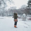 첫눈 - 청주시 청원구 | 첫눈
