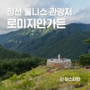 알프스가든 | 로미지안가든 웰니스 관광지 정선 여행 추천