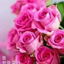 이슬이네