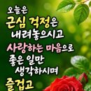 🌸늙음과 낡음🌸 이미지